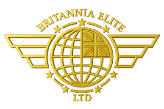 Vigilant Defender security training programme gold emblem